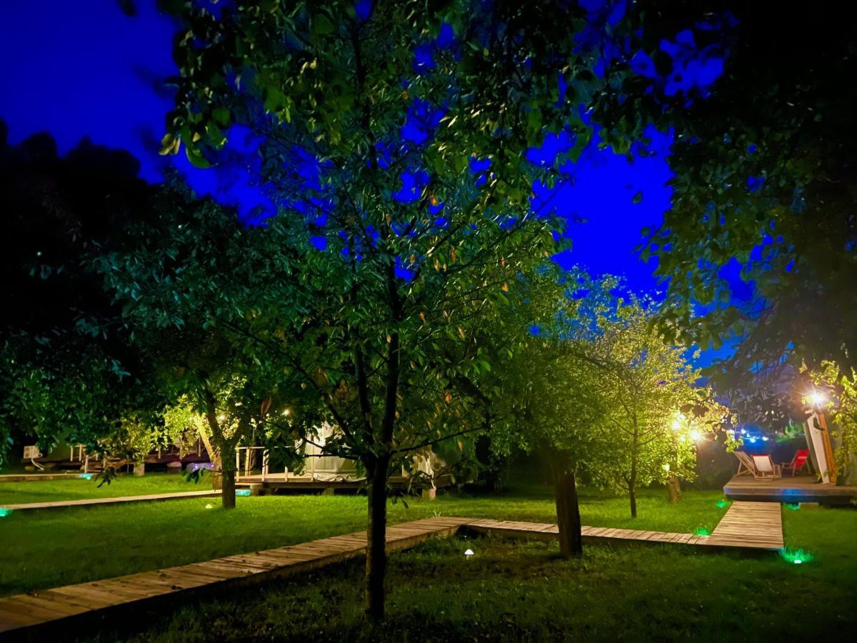 Apartamento Na Skraju Lasu Na Drzewie & Glamping
