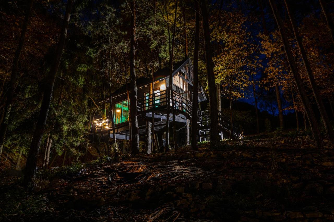 Apartament Na Skraju Lasu Na Drzewie&glamping Kazimierz Dolny