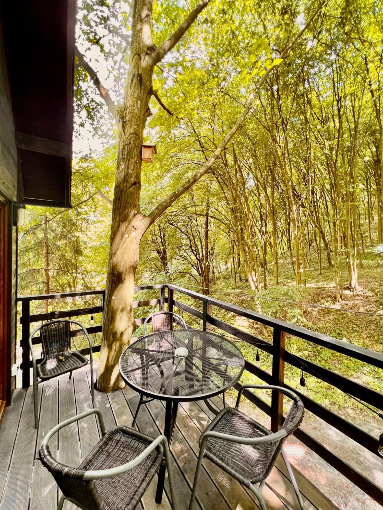 Na Skraju Lasu Na Drzewie & Glamping Apartamento Kazimierz Dolny