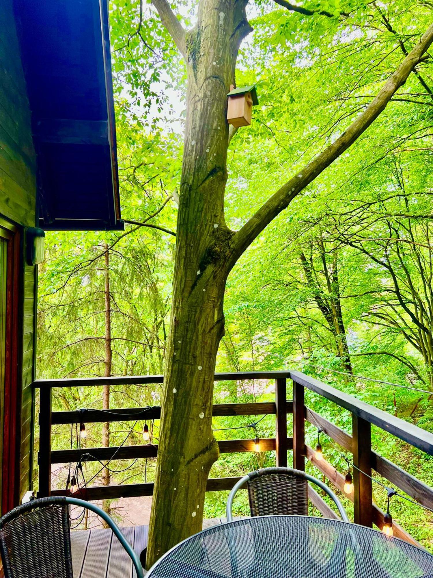 Apartamento Na Skraju Lasu Na Drzewie & Glamping *