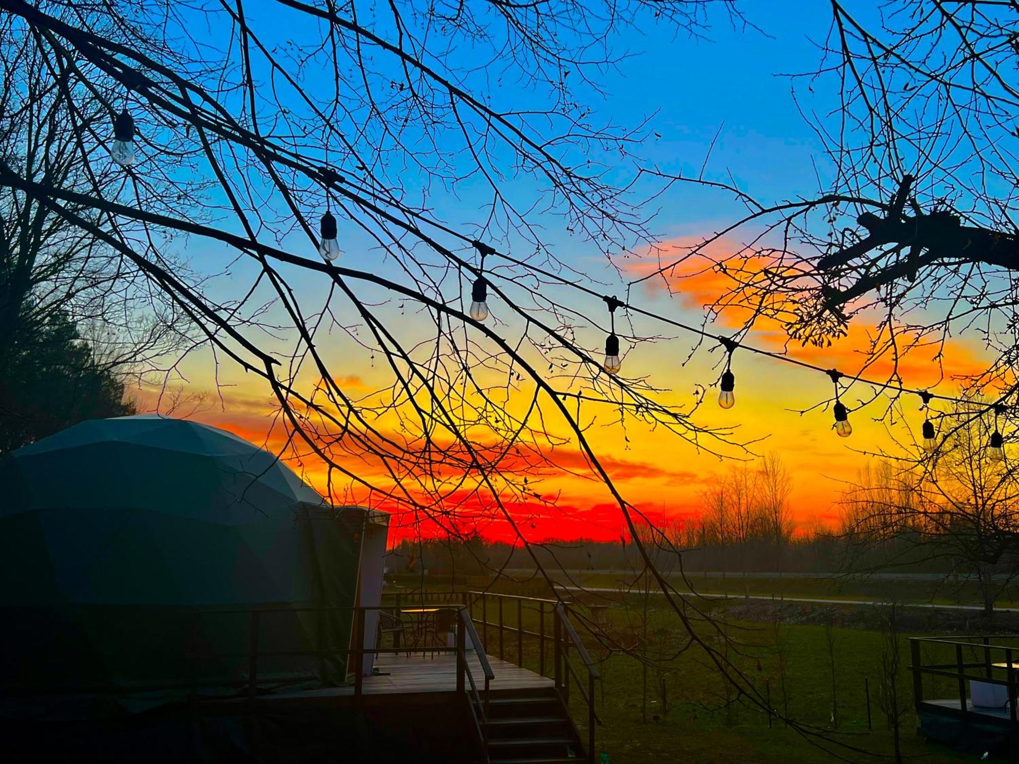 Apartament Na Skraju Lasu Na Drzewie&glamping *