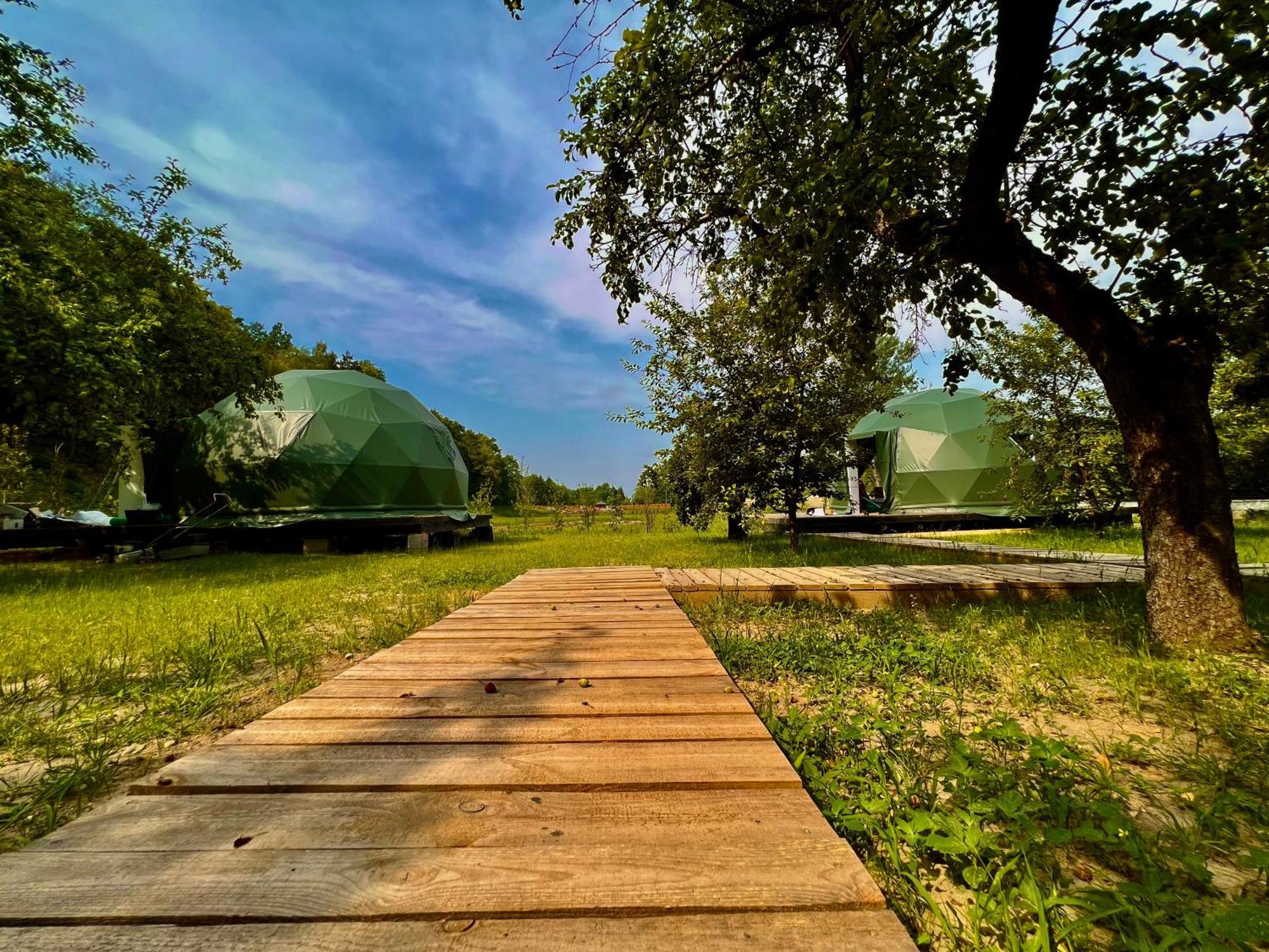 Na Skraju Lasu Na Drzewie&glamping
